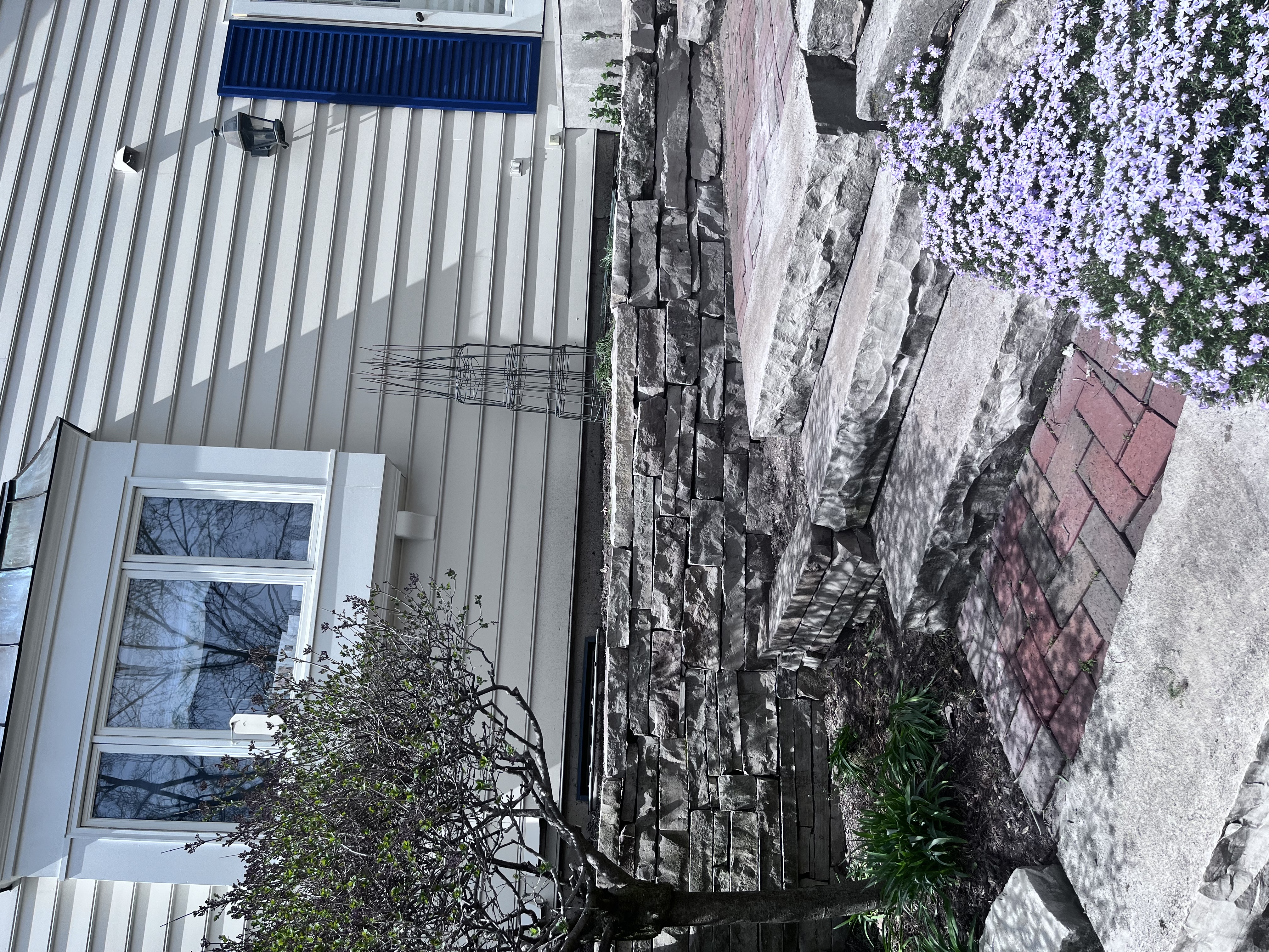 IMG_8236.jpeg