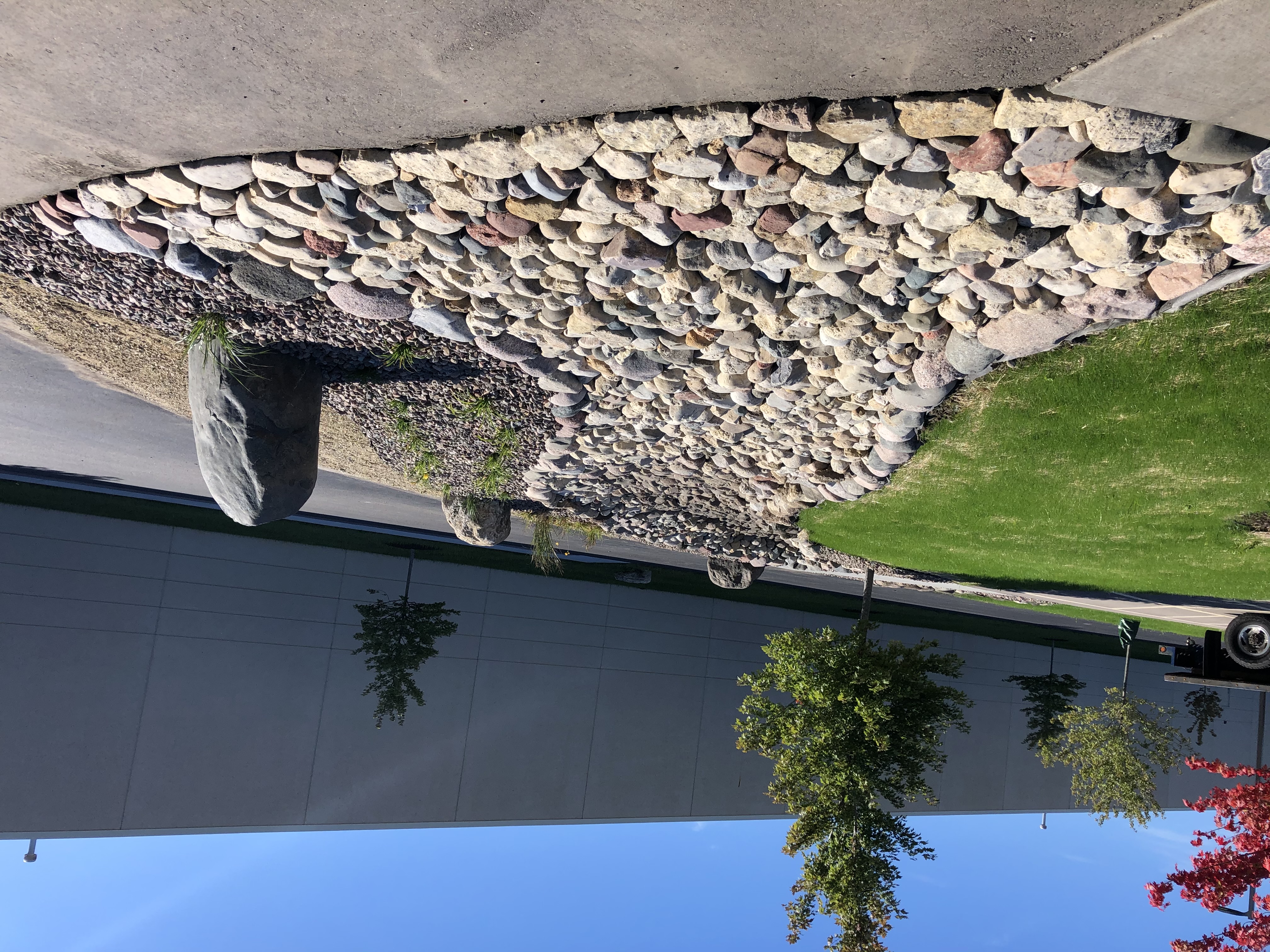 IMG_6612.jpeg
