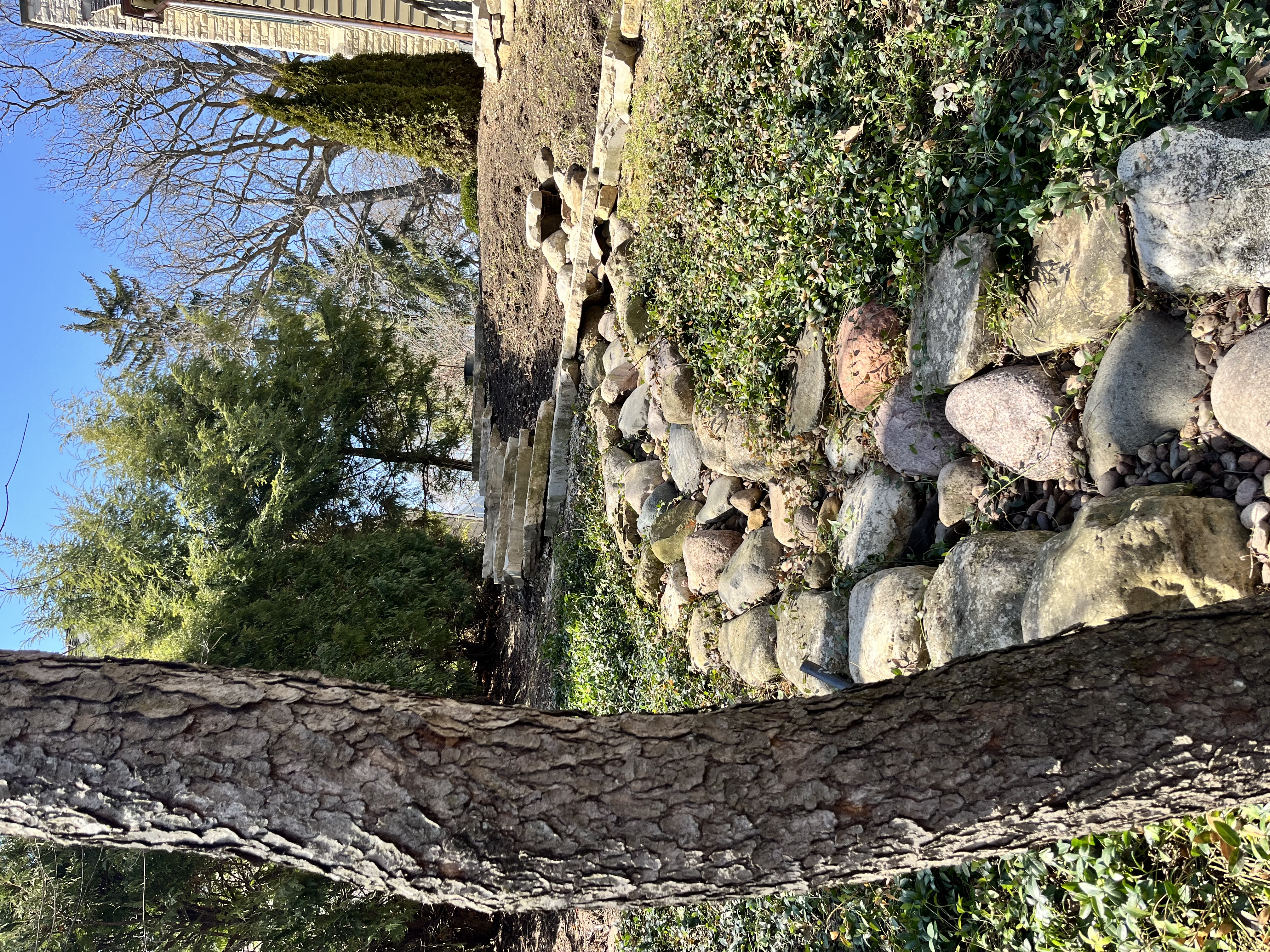 IMG_9176.jpeg